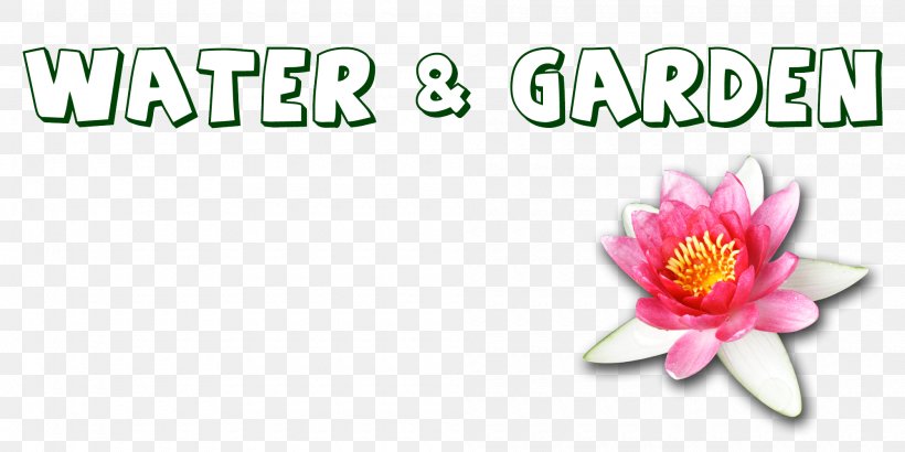 Cut Flowers Water Dog Brand Font, PNG, 2000x1000px, Cut Flowers, Beige, Brand, Dog, Flower Download Free