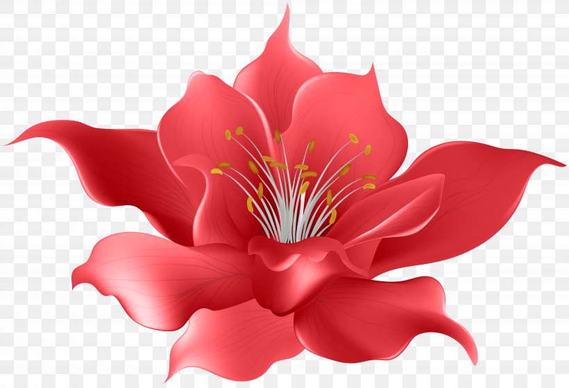 Decorative Flowers Magnolia Floral Design Watercolor Painting, PNG, 8000x5472px, Decorative Flowers, Alstroemeriaceae, Blue, Cut Flowers, Drawing Download Free