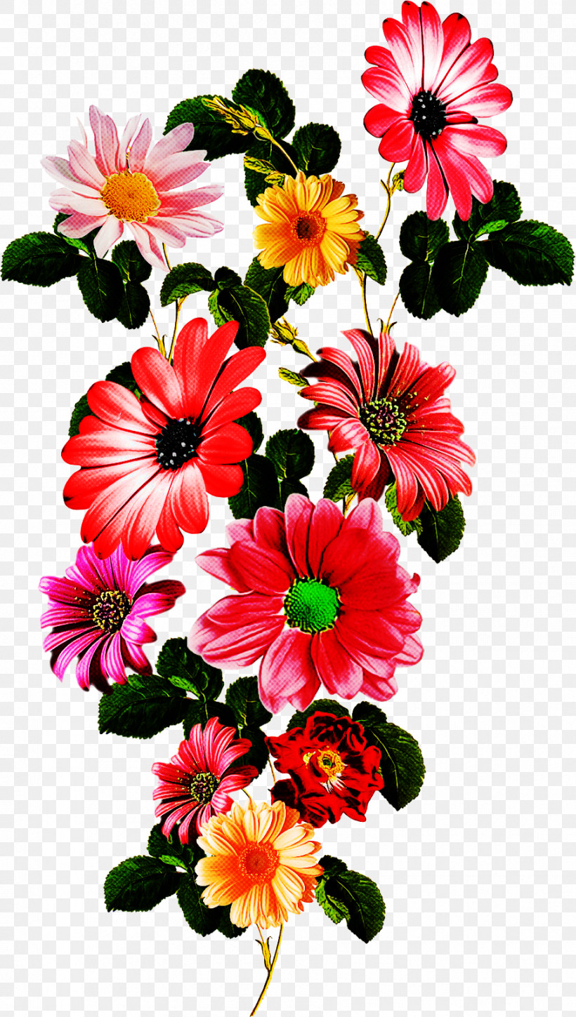 Floral Design, PNG, 905x1600px, Floral Design, Annual Plant, Chrysanthemum, Cut Flowers, Dahlia Download Free