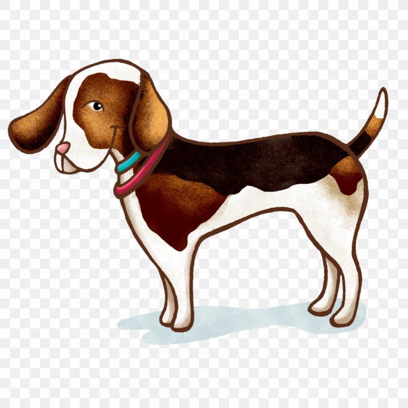 Treeing Walker Coonhound English Foxhound Beagle American Foxhound Harrier, PNG, 1000x1000px, Treeing Walker Coonhound, American Foxhound, Beagle, Black And Tan Coonhound, Carnivoran Download Free