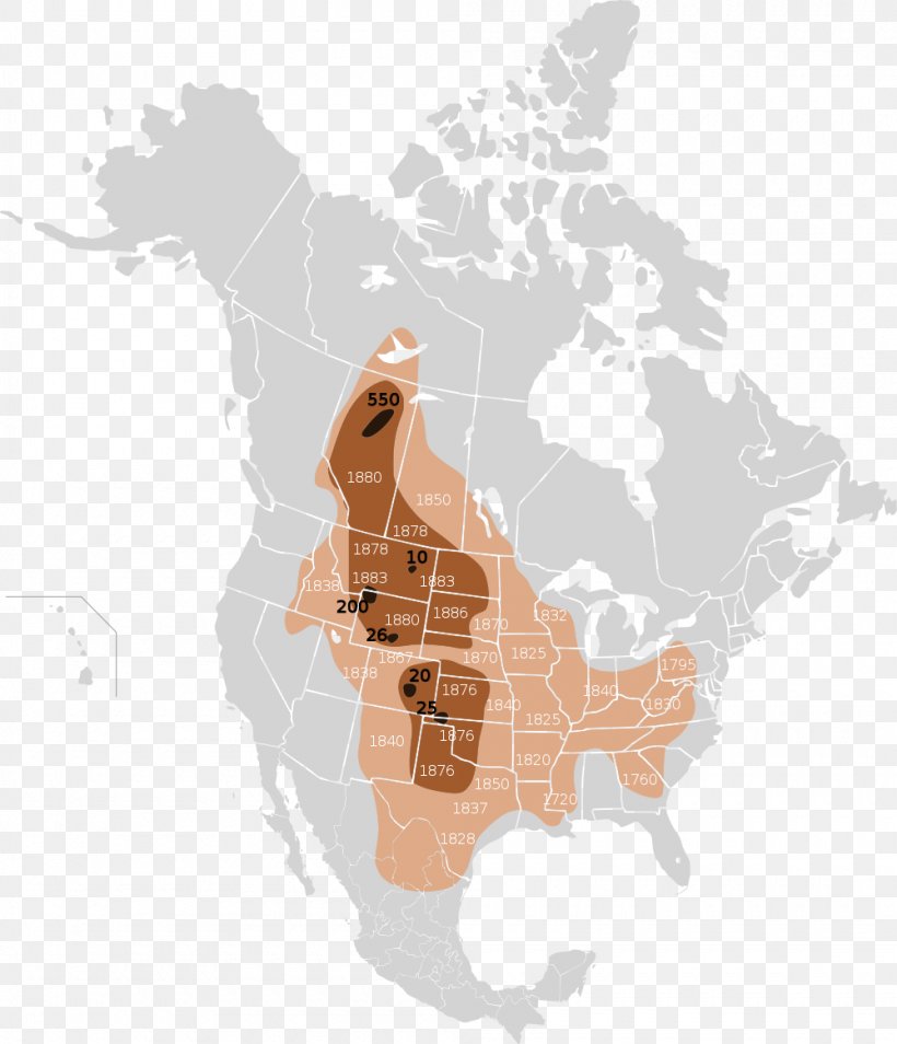 United States Plains Bison Bison Hunting Yellowstone Park Bison Herd Map, PNG, 1000x1164px, United States, American Bison, American Bison Society, Bison, Bison Hunting Download Free