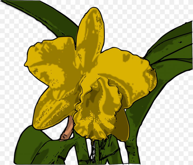 Yellow Cattleya Orchids Flower Tiger Orchid, PNG, 1280x1090px, Yellow, Amaryllis Family, Cattleya, Cattleya Orchids, Fictional Character Download Free