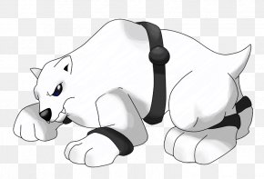 Cat - Cat Bear Canidae Dog PNG