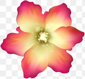 Baby's Breath - Clip Art Portable Network Graphics Image Rosemallows Transparency PNG