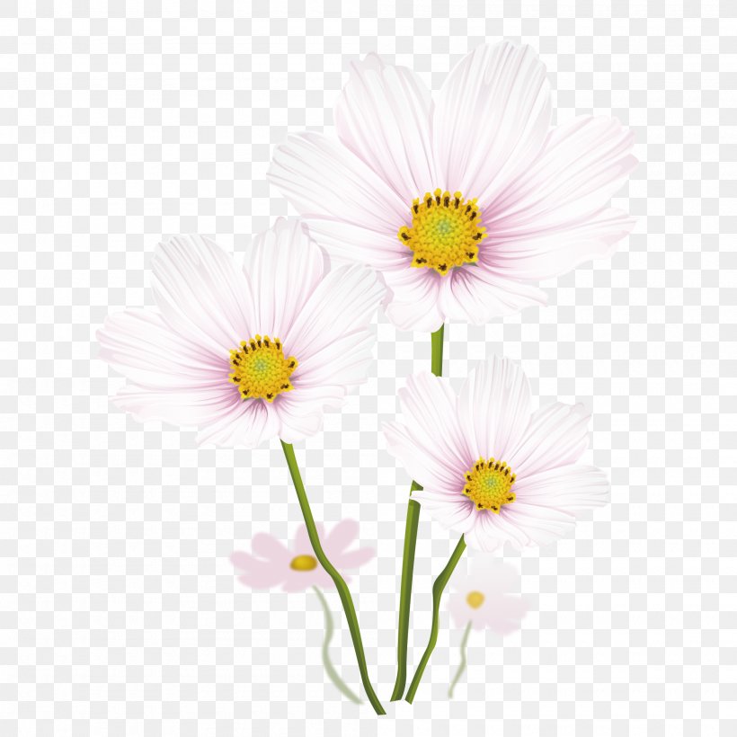 Drawing Common Daisy Illustration, PNG, 2000x2000px, Drawing, Annual Plant, Aster, Chrysanthemum, Chrysanths Download Free