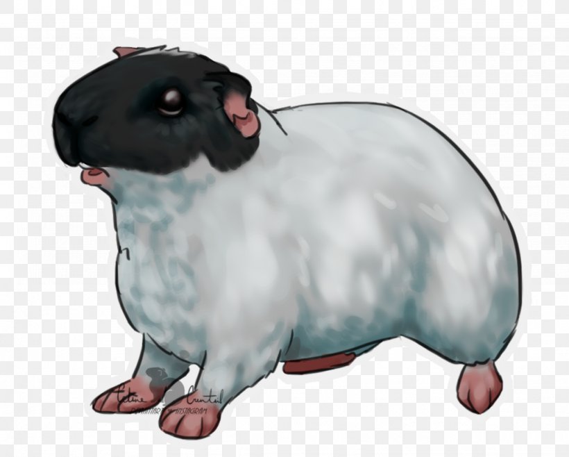 Rat Sheep Dog Pet Mammal, PNG, 1024x822px, Rat, Animal, Canidae, Carnivora, Carnivoran Download Free