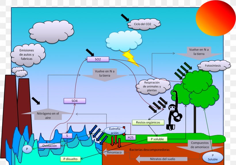 Biogeochemical Cycle Biogeochemistry Chemical Element Ecosystem Water Resources, PNG, 1670x1172px, Biogeochemical Cycle, Air, Area, Balloon, Biogeochemistry Download Free