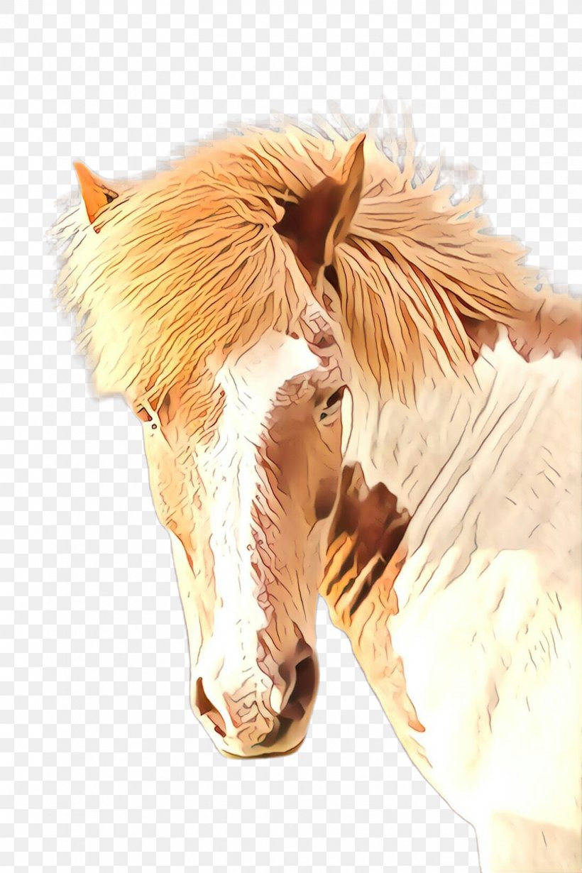 Horse Head Mane Snout Mustang Horse, PNG, 1632x2448px, Cartoon, Ear, Fur, Head, Horse Download Free