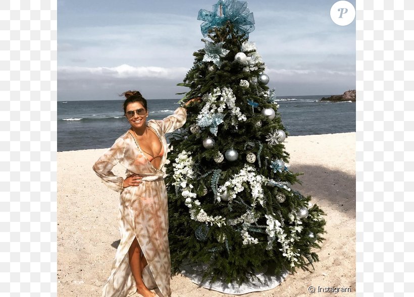 Beach Celebrity Christmas Actor New Year Tree, PNG, 675x589px, Watercolor, Cartoon, Flower, Frame, Heart Download Free