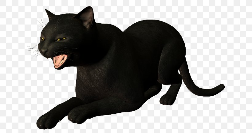 Black Cat Panther Whiskers, PNG, 650x434px, Black Cat, Animaatio, Animal, Author, Avatar Download Free