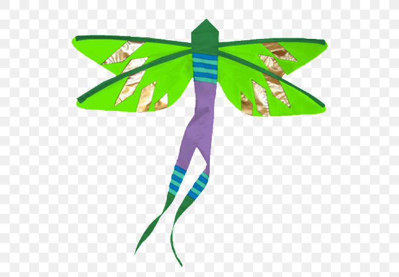 Insect Dragonfly Damselfly Butterfly Animal, PNG, 570x570px, Insect, Animal, Butterflies And Moths, Butterfly, Character Download Free
