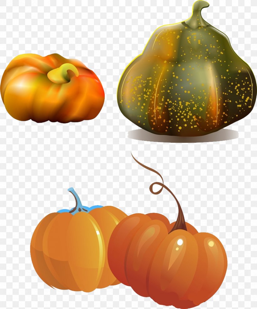 Jack-o-lantern Calabaza Pumpkin Gourd Winter Squash, PNG, 852x1024px, Jackolantern, Calabaza, Cartoon, Clementine, Cucumber Gourd And Melon Family Download Free