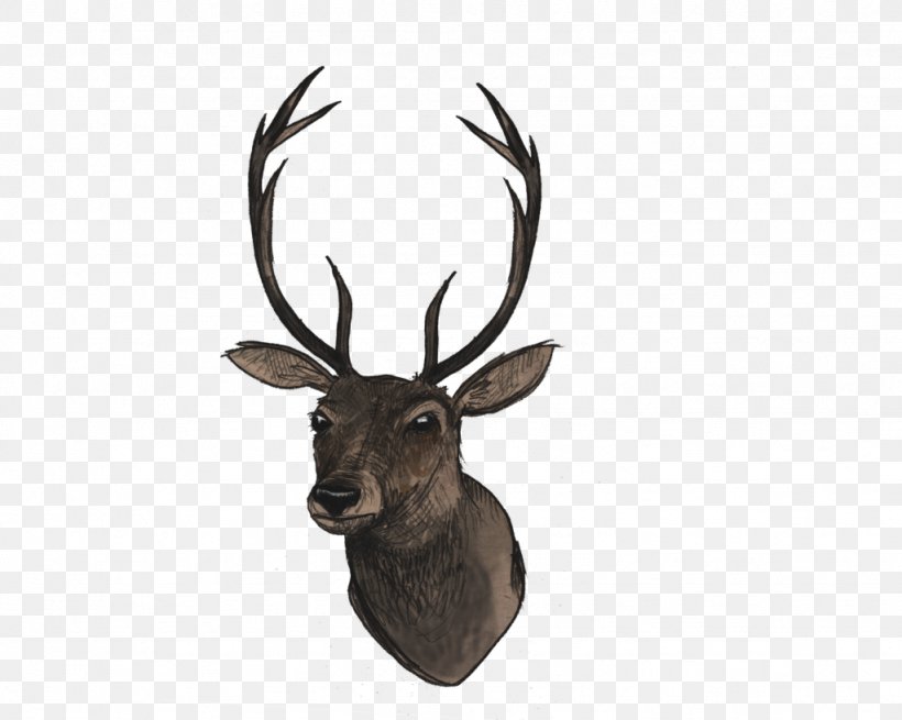 White-tailed Deer Clip Art, PNG, 1024x819px, Deer, Antler, Axis, Elk, Horn Download Free
