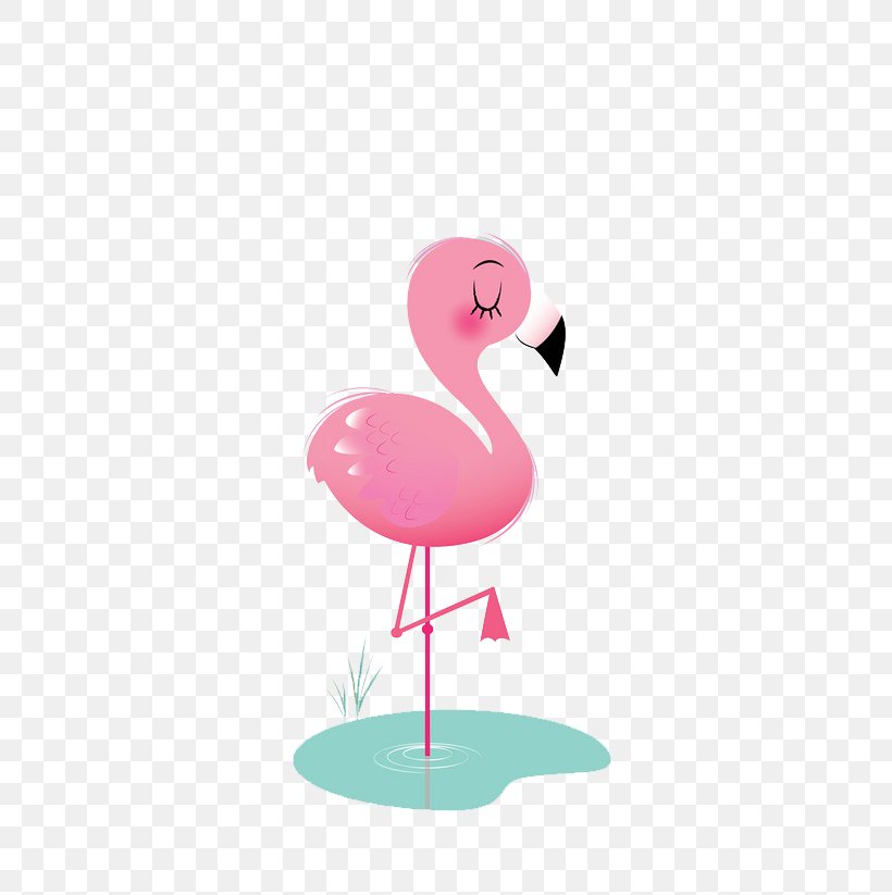 Bird Flamingos Animation Icon, PNG, 658x823px, Flamingos, Animal, Beak, Bird, Drawing Download Free