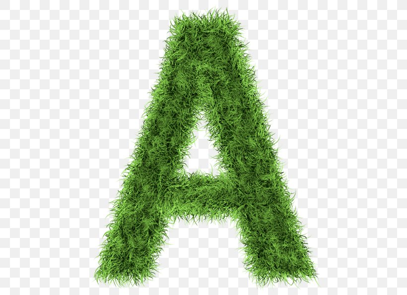 Letter Stock Photography Alphabet, PNG, 595x595px, Letter, Alphabet, Conifer, Evergreen, Grass Download Free