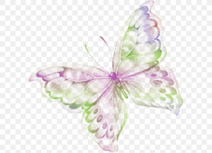 Butterfly Photobucket Animated Film, PNG, 600x592px, Watercolor, Cartoon, Flower, Frame, Heart Download Free