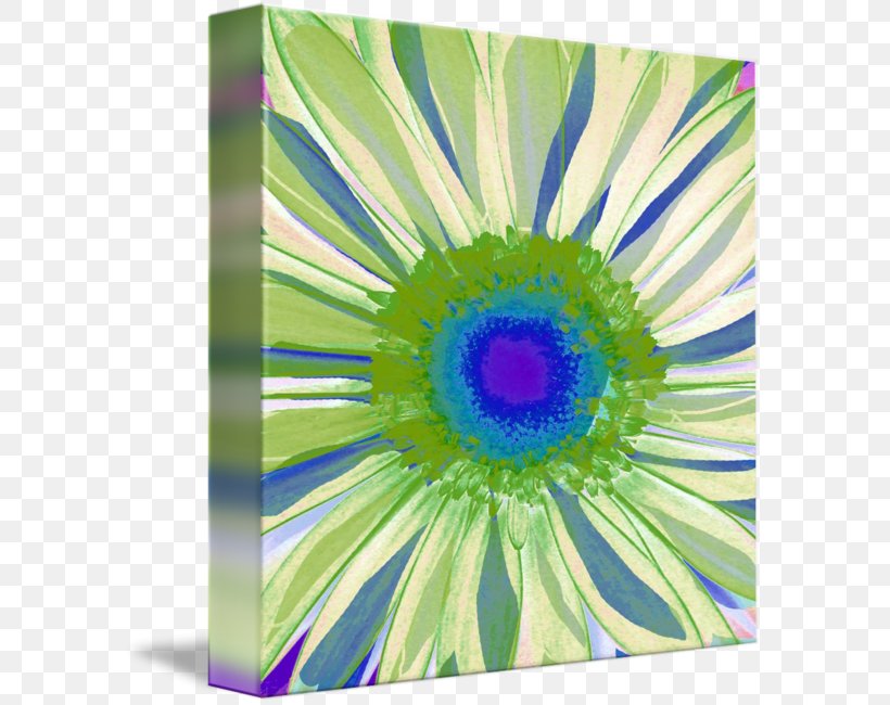 Transvaal Daisy Artist Painting Fine Art, PNG, 589x650px, Transvaal Daisy, Abstract Art, Art, Artist, Cobalt Blue Download Free