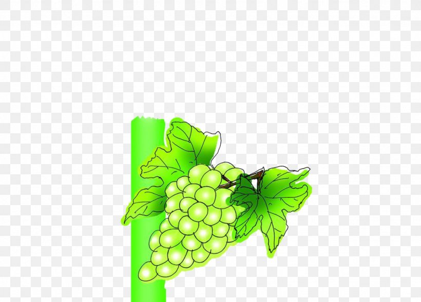 Wine Grape Juice Packaging And Labeling, PNG, 1024x736px, Wine, Advertising, Auglis, Designer, Drink Download Free