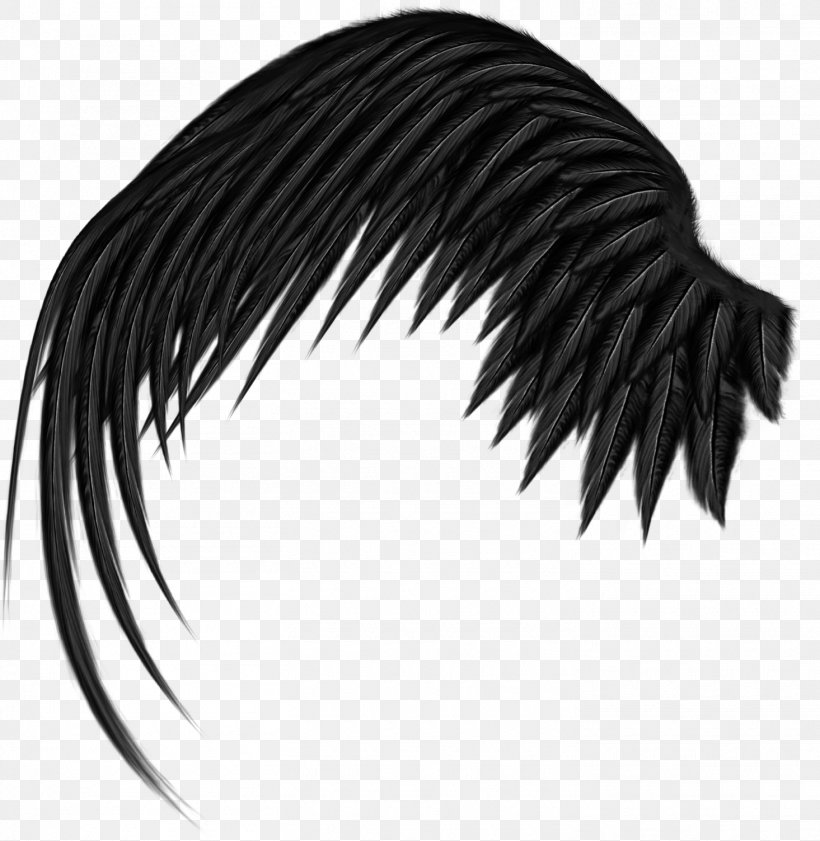 Wing, PNG, 1465x1503px, Wing, Black, Black And White, Black Hair, Coreldraw Download Free