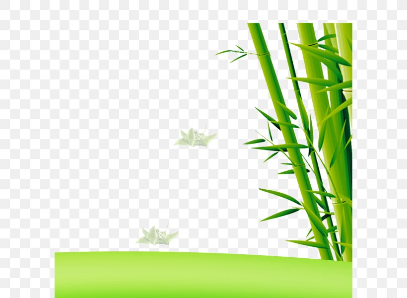 Bamboo Euclidean Vector, PNG, 600x600px, Bamboo, Element, Grass, Grass Family, Green Download Free