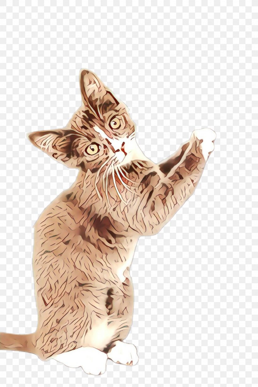 Cat Small To Medium-sized Cats Tabby Cat Whiskers Kitten, PNG, 1632x2448px, Cartoon, Cat, Fawn, Gesture, Kitten Download Free