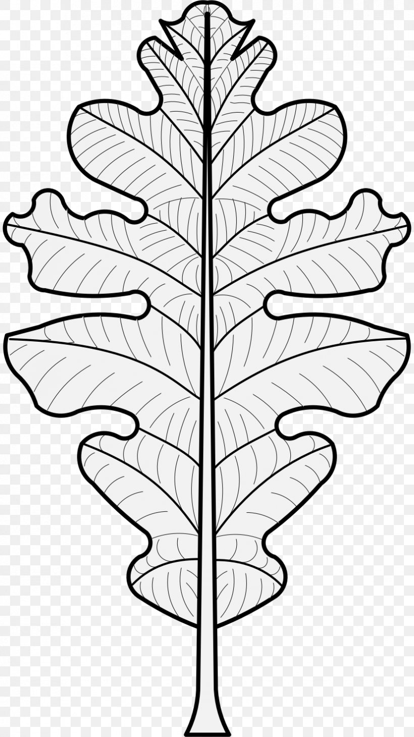 Leaf Plant Stem Heraldry Clip Art, PNG, 827x1473px, Leaf, Acorn, Art, Black And White, Branch Download Free