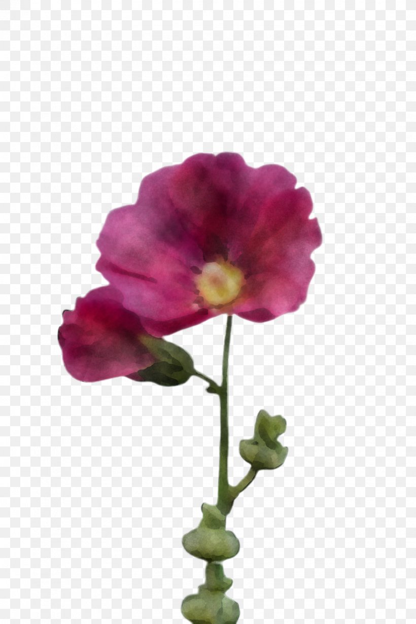 Artificial Flower, PNG, 1632x2448px, Flower, Artificial Flower, Cut Flowers, Magenta, Moth Orchid Download Free