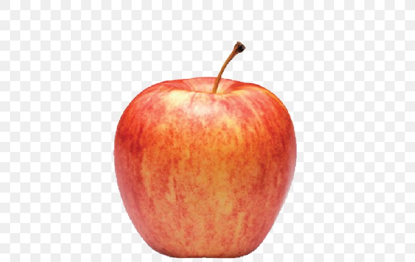 McIntosh Red Apple Pie Gala Fuji, PNG, 517x517px, Mcintosh Red, Apple, Apple Pie, Dried Fruit, Empire Apples Download Free