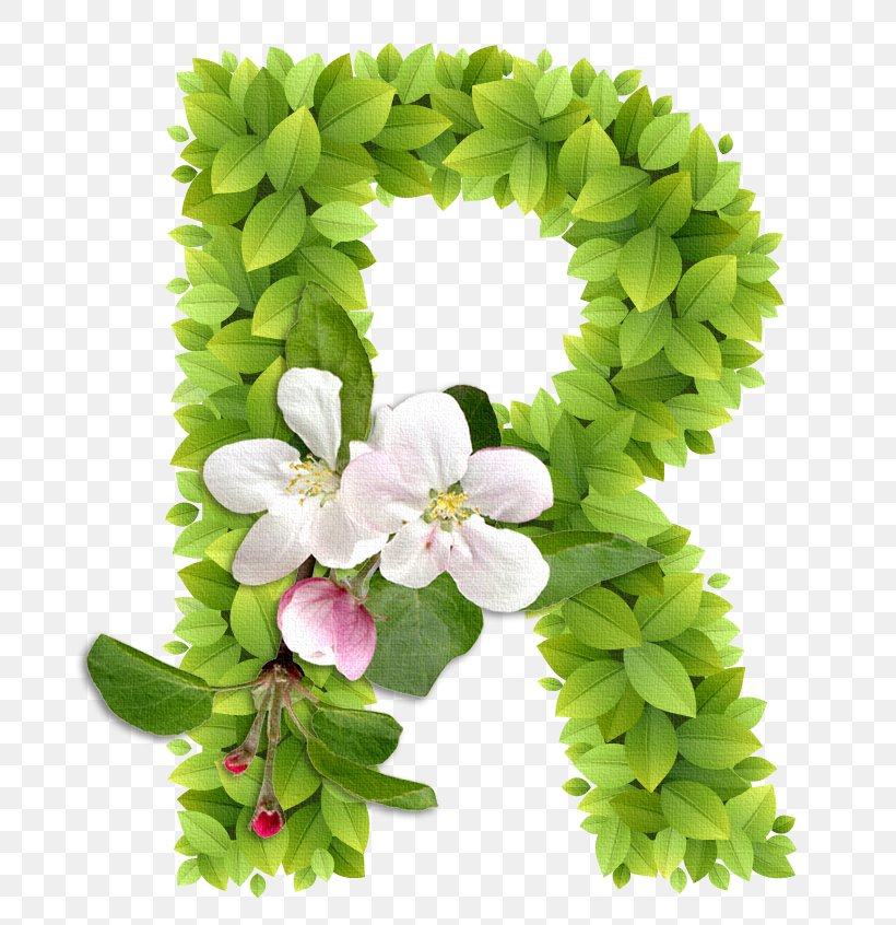 Alphabet Letter Number Ch, PNG, 703x846px, Alphabet, Annual Plant, Calligraphy, Cut Flowers, Floral Design Download Free