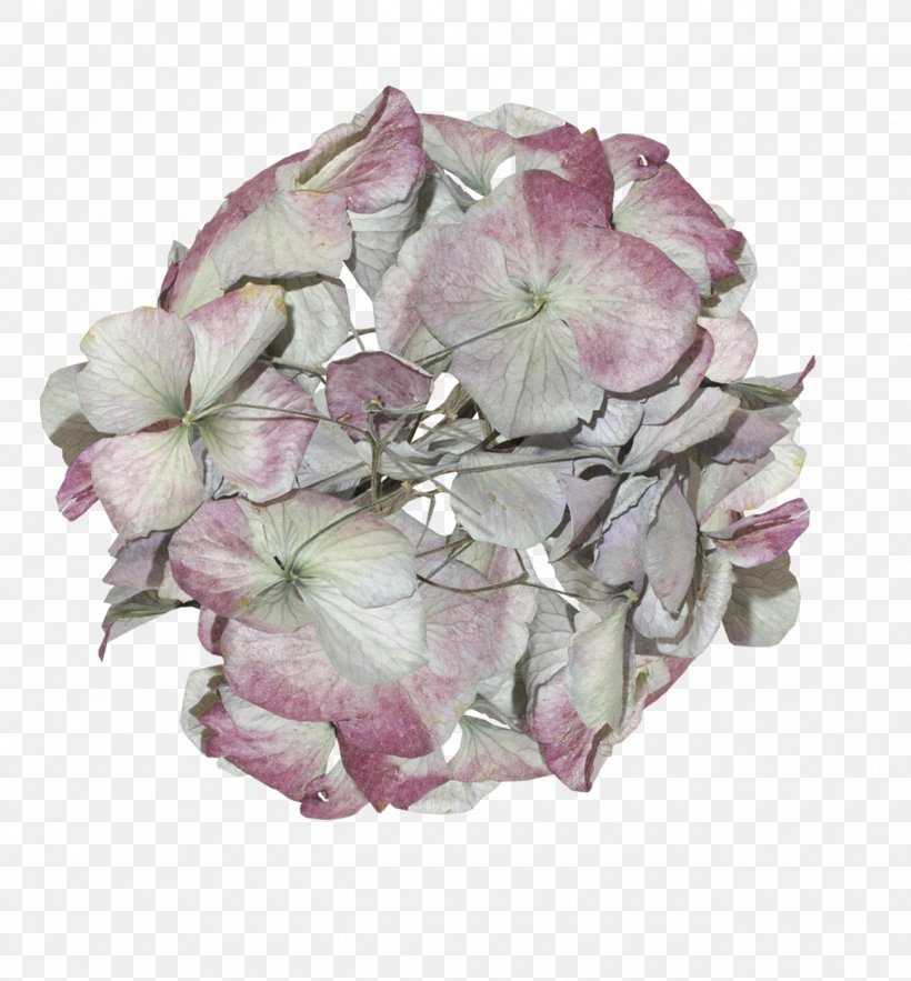 Hydrangea Cut Flowers Petal Pink M, PNG, 1300x1400px, Hydrangea, Cornales, Cut Flowers, Flower, Flowering Plant Download Free