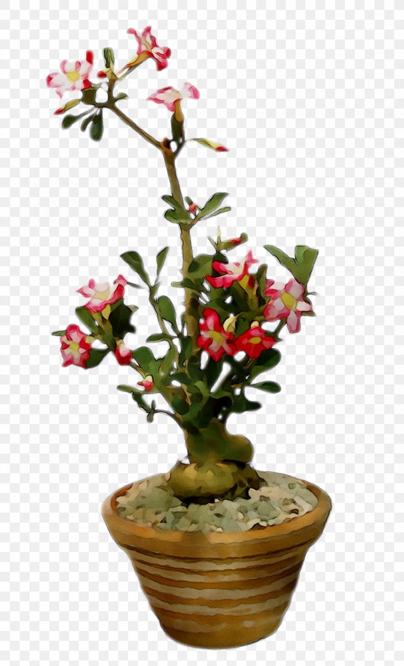 Flowerpot Houseplant Plant Stem Shrub Flowering Plant, PNG, 872x1437px, Flowerpot, Artificial Flower, Blossom, Cut Flowers, Daphne Download Free