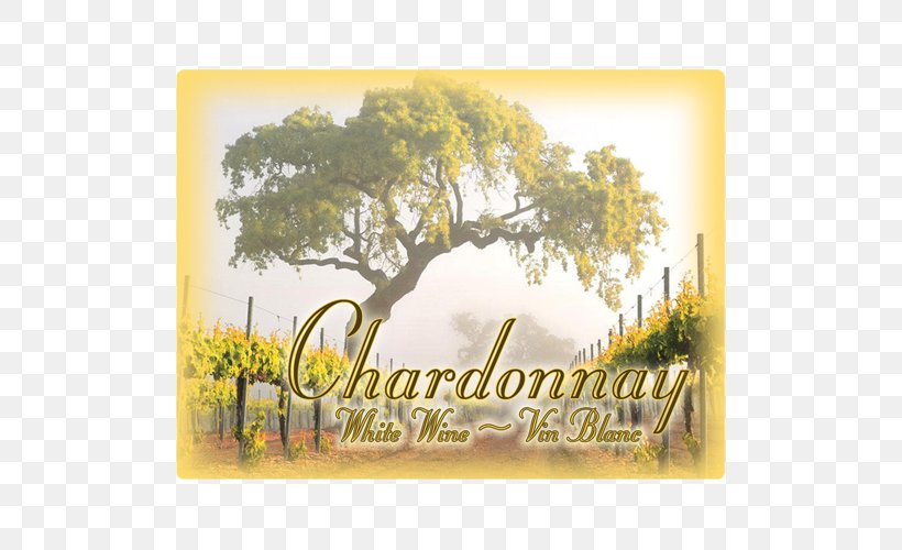 Wine Country Common Grape Vine Mural Drawing, PNG, 500x500px, Wine, Common Grape Vine, Drawing, Grass, Mural Download Free