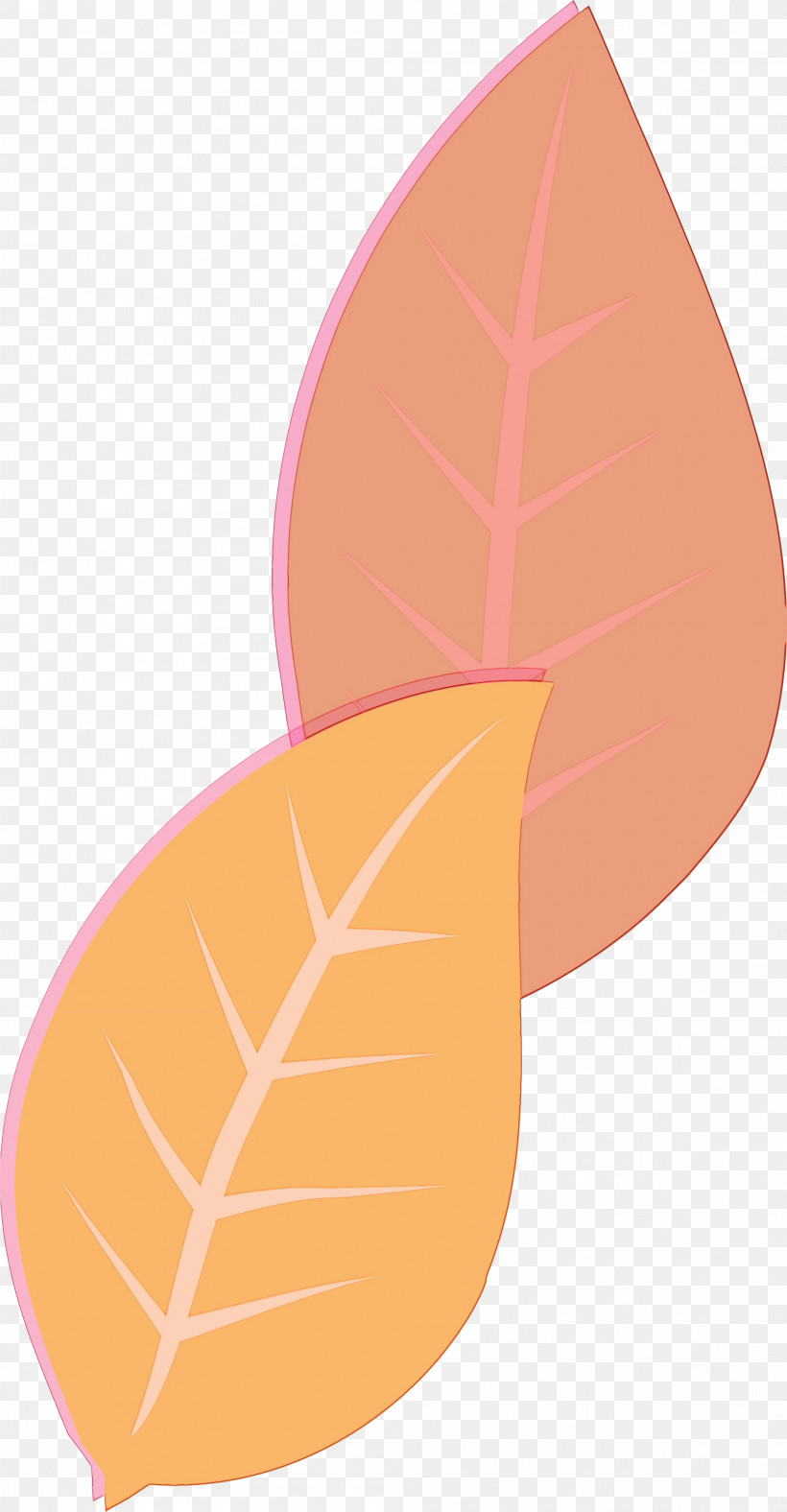 Angle Leaf Line Commodity Peach, PNG, 2017x3879px, Watercolor, Angle, Biology, Commodity, Fruit Download Free