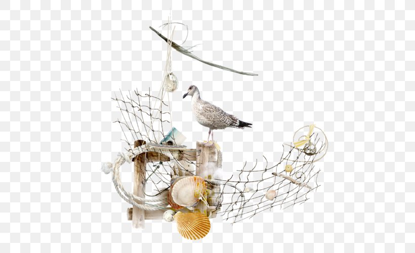 Clip Art, PNG, 500x500px, Sea, Archive File, Beak, Bird, Collage Download Free