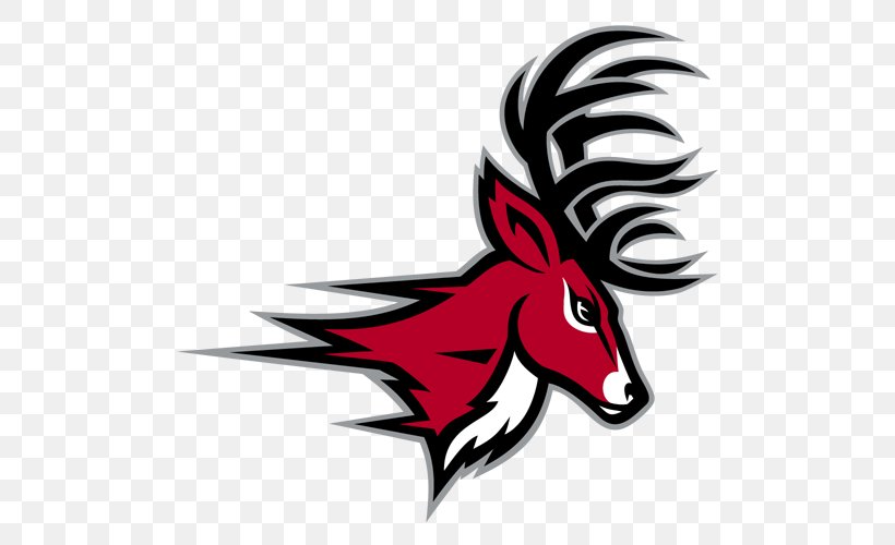 Fairfield University Fairfield Stags Men's Basketball Fairfield Stags Baseball Fairfield Stags Women's Basketball Division I (NCAA), PNG, 500x500px, Fairfield University, Basketball, Beak, Division I Ncaa, Dog Like Mammal Download Free