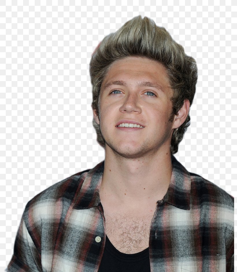 Niall Horan Valentine's Day One Direction: Forever Young Love, PNG, 800x939px, Niall Horan, Celebrity, Chin, Facial Hair, Forehead Download Free
