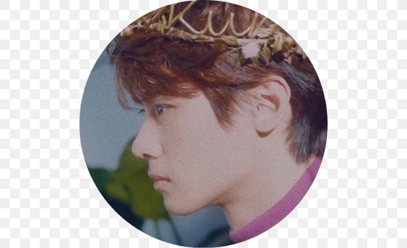 Taeyong NCT 127 Kun Musician, PNG, 500x500px, Taeyong, Brown Hair, Cheek, Chin, Doyoung Download Free