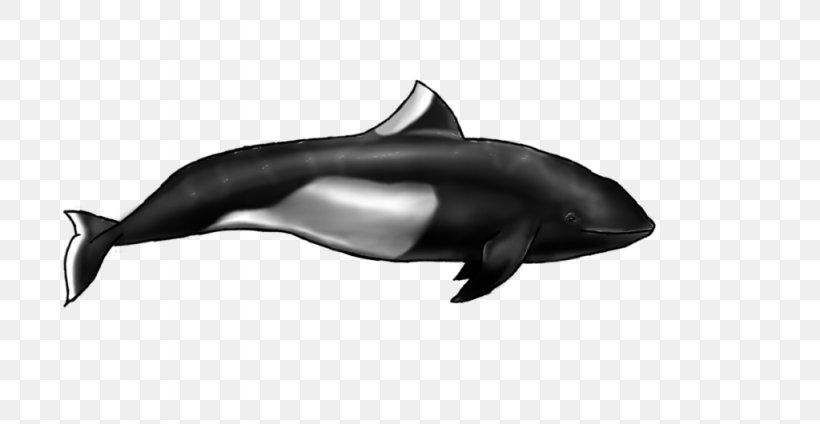 Common Bottlenose Dolphin Short-beaked Common Dolphin Tucuxi Rough-toothed Dolphin Wholphin, PNG, 1024x530px, Common Bottlenose Dolphin, Automotive Design, Black And White, Bottlenose Dolphin, Cetacea Download Free