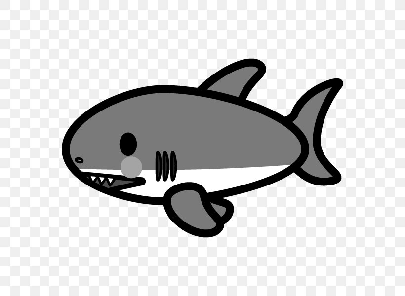 Shark Image Photograph Fish Water, PNG, 600x600px, Shark, Blue, Cetacea, Coloring Book, Fin Download Free
