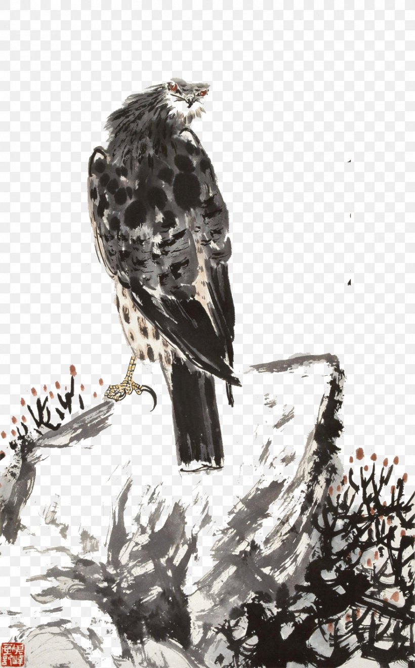 Bald Eagle Hawk Vulture, PNG, 879x1417px, Bald Eagle, Accipitriformes, Art, Beak, Bird Download Free