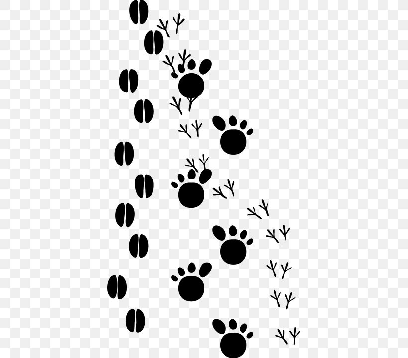 Dog Animal Track Footprint Paw Clip Art, PNG, 387x720px, Dog, Animal, Animal Track, Bear, Black Download Free