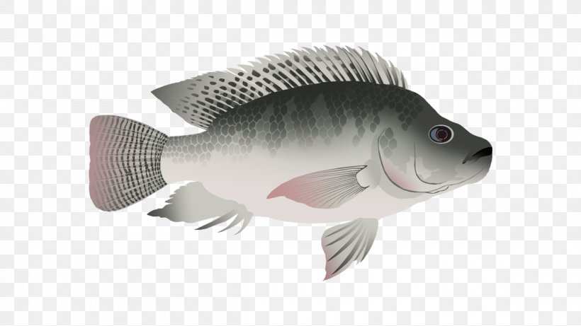 Nile Tilapia Bluegill Animated Film Cartoon, PNG, 1200x675px, Tilapia, Animated Film, Bluegill, Bony Fish, Cartoon Download Free