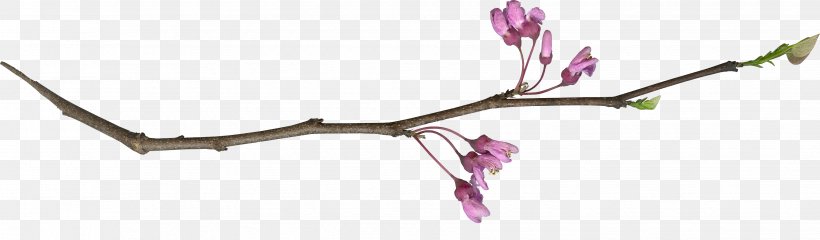 Twig Plant Stem Cut Flowers Pink M, PNG, 3512x1028px, Twig, Body Jewellery, Body Jewelry, Branch, Cut Flowers Download Free