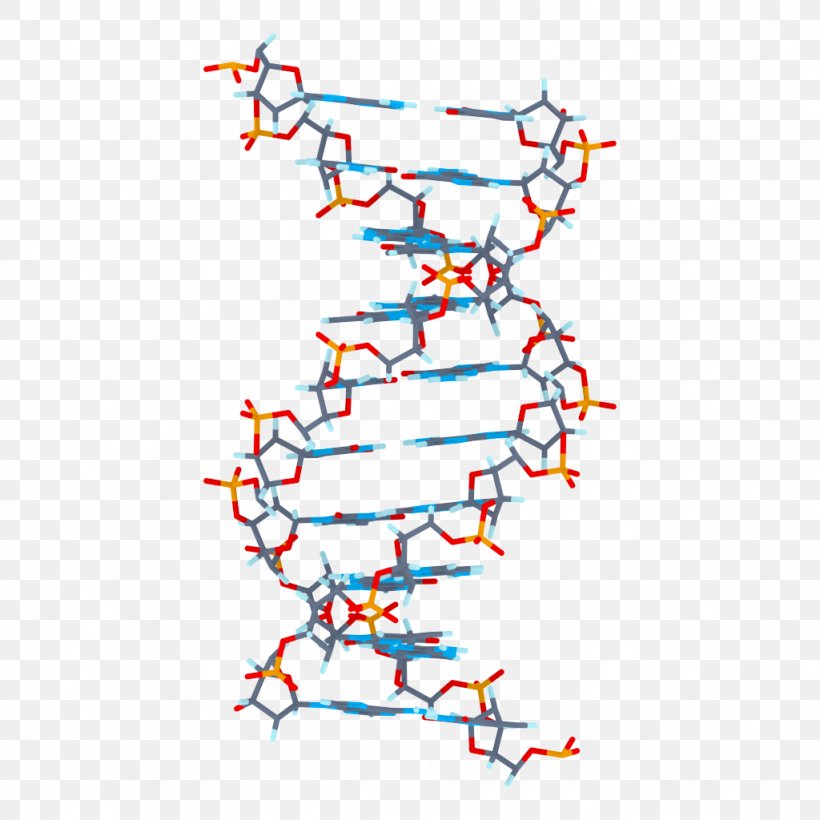 3D Computer Graphics DNA Clip Art, PNG, 1024x1024px, 3d Computer Graphics, Area, Biology, Branch, Computer Graphics Download Free