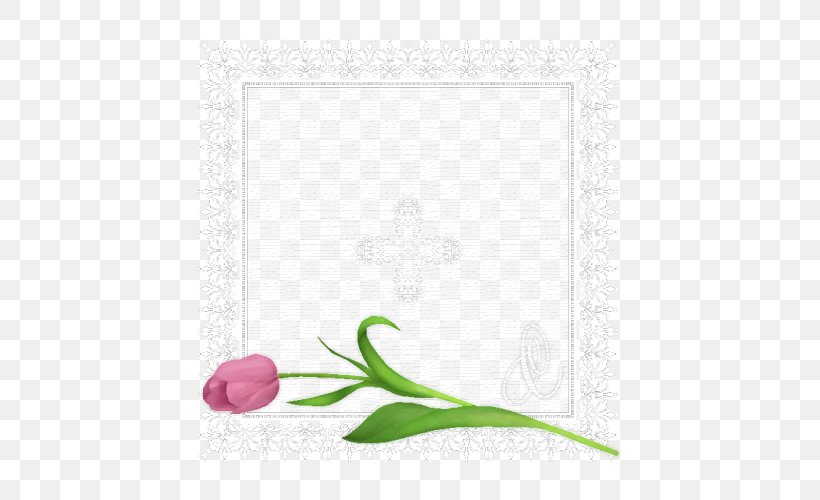 Picture Frames Rectangle Font Flowering Plant Floral Design, PNG, 500x500px, Picture Frames, Botany, Floral Design, Flower, Flowering Plant Download Free