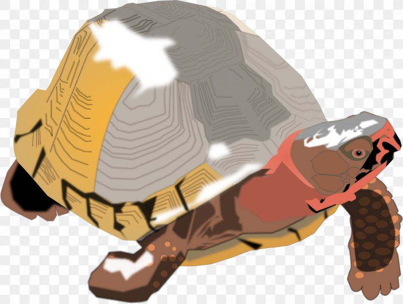 Box Turtle Reptile Tortoise Clip Art, PNG, 2400x1813px, Turtle, Animal, Animation, Box Turtle, Eastern Box Turtle Download Free