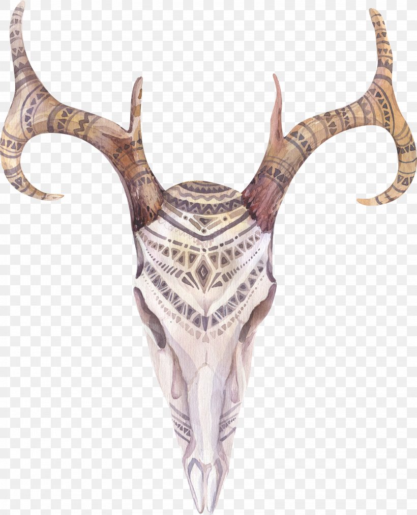 Cow's Skull: Red, White, And Blue Boho-chic Watercolor Painting Drawing, PNG, 3181x3924px, Bohochic, Antler, Art, Color, Deer Download Free