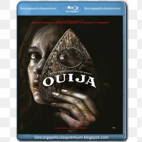 Horror - Film Poster Horror Freddy Krueger PNG