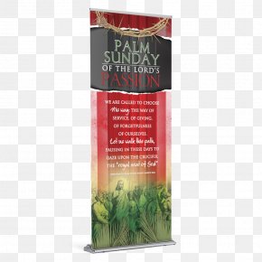 Lent Palm Sunday Holy Week Passion Sunday Pentecost PNG