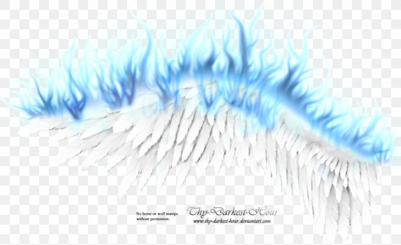 Wing Flame, PNG, 1024x628px, Wing, Blue, Close Up, Color, Computer Software Download Free